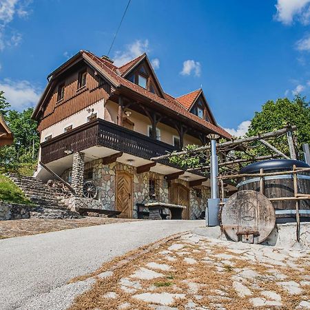 Authentic Countryside Villa With Hot Tub Veliki Kamen 外观 照片