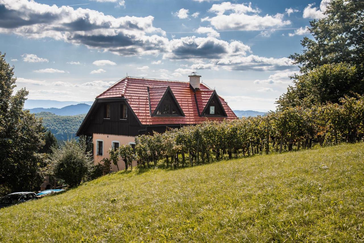 Authentic Countryside Villa With Hot Tub Veliki Kamen 外观 照片