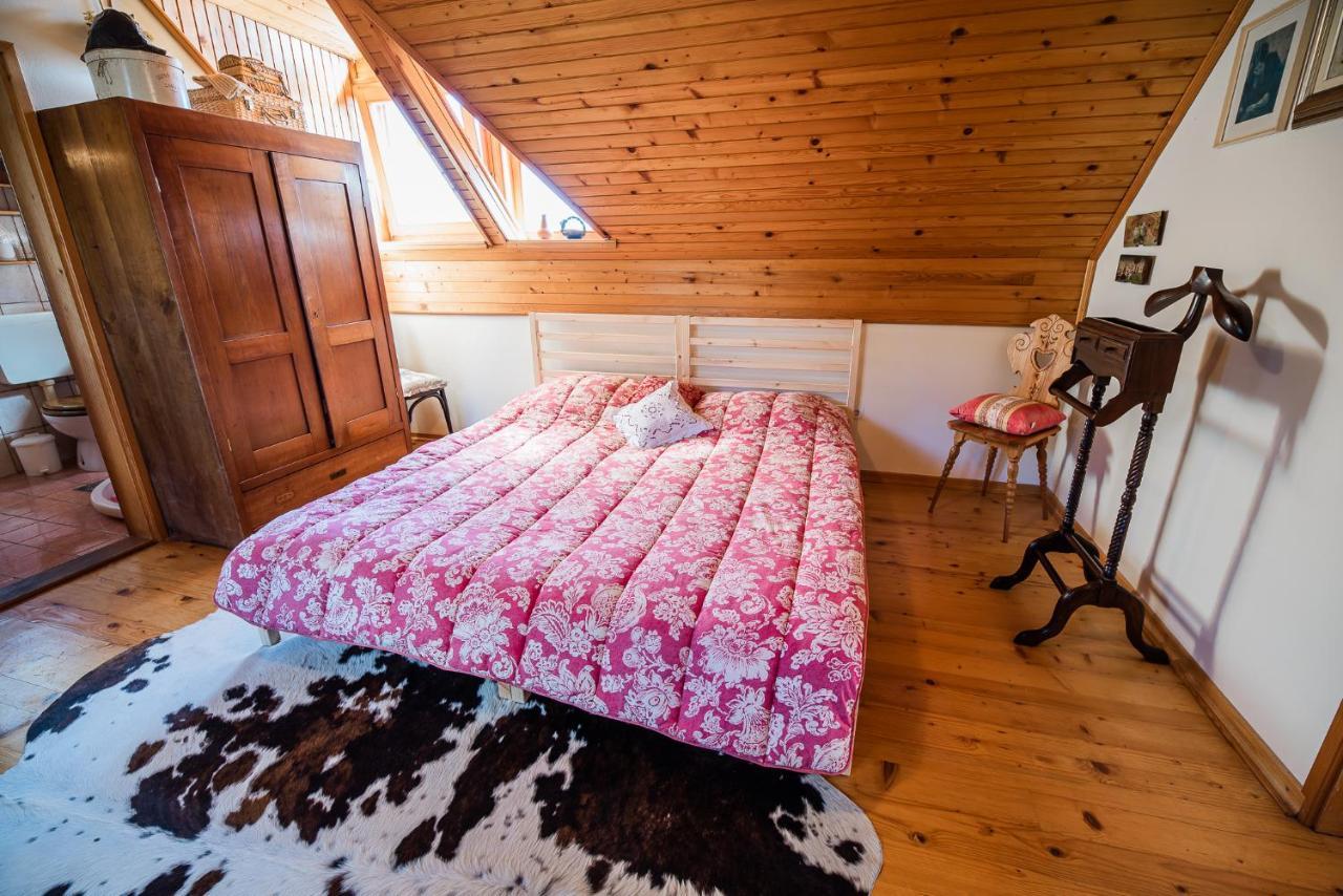 Authentic Countryside Villa With Hot Tub Veliki Kamen 外观 照片