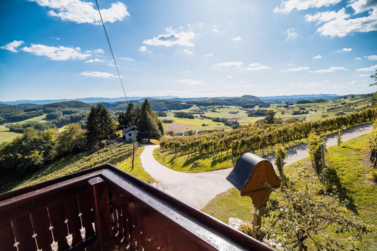 Authentic Countryside Villa With Hot Tub Veliki Kamen 外观 照片