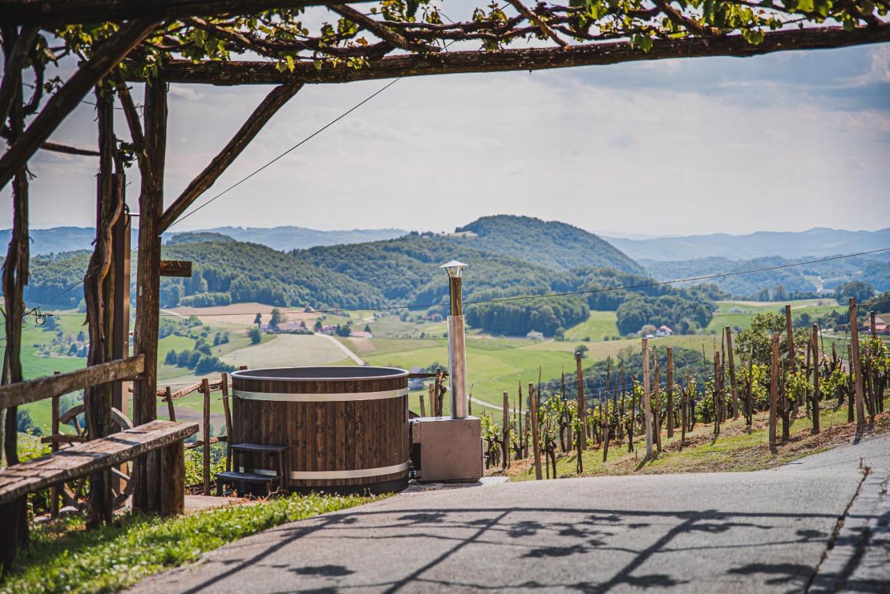 Authentic Countryside Villa With Hot Tub Veliki Kamen 外观 照片